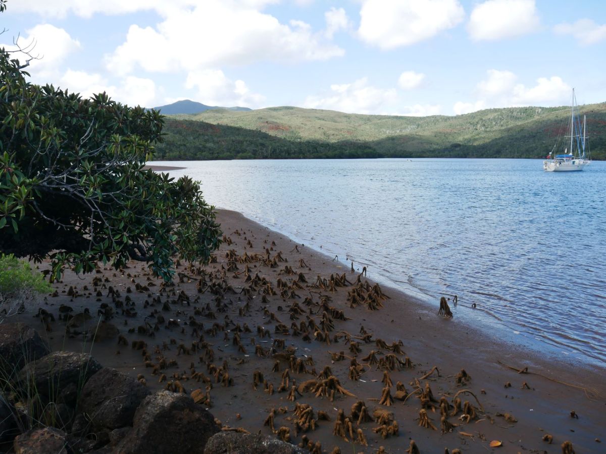 New Cal’s Far South