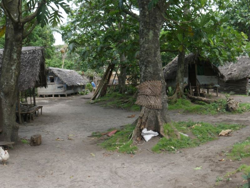 Zooming through Vanuatu: Tanna