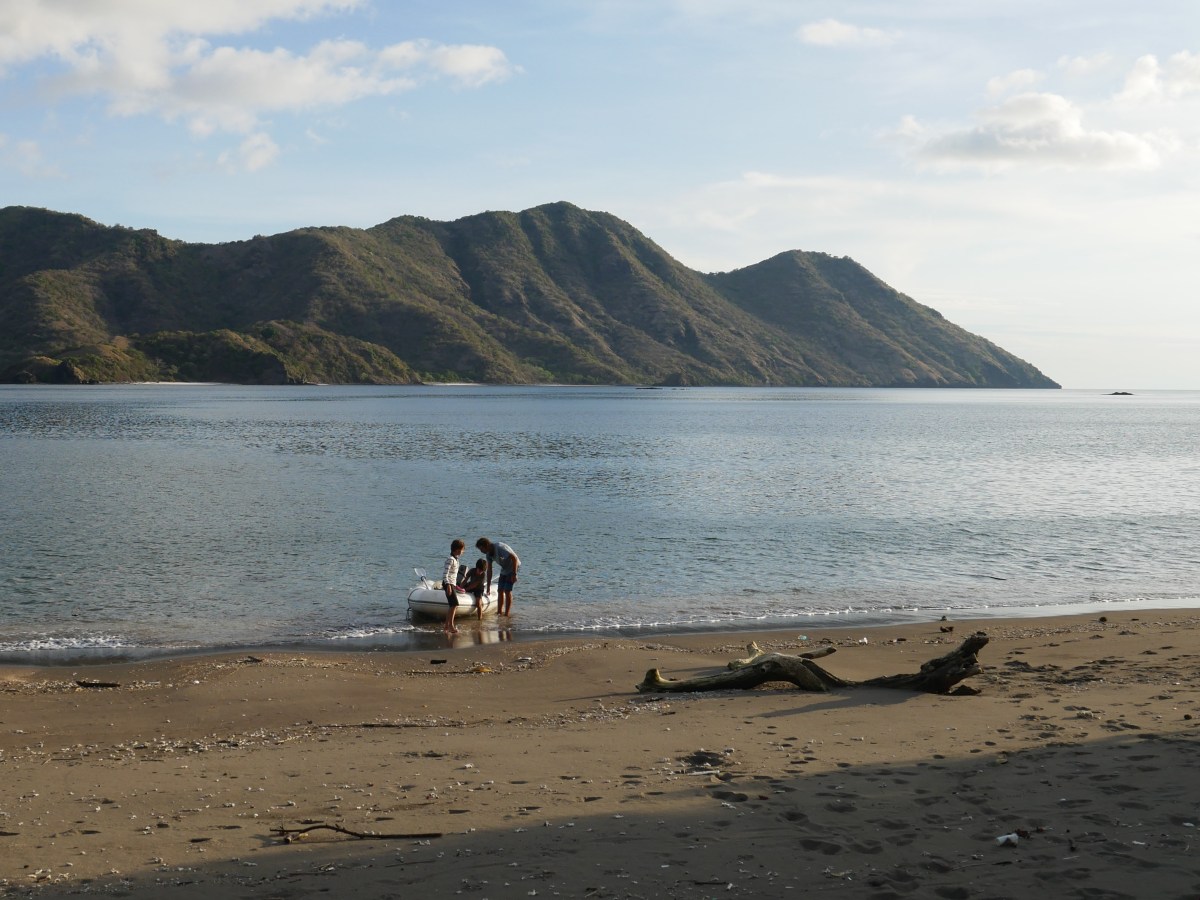 Spying on Komodo dragons
