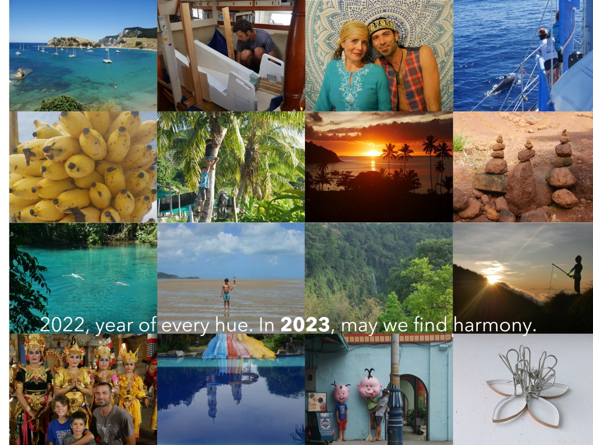 A year of first times