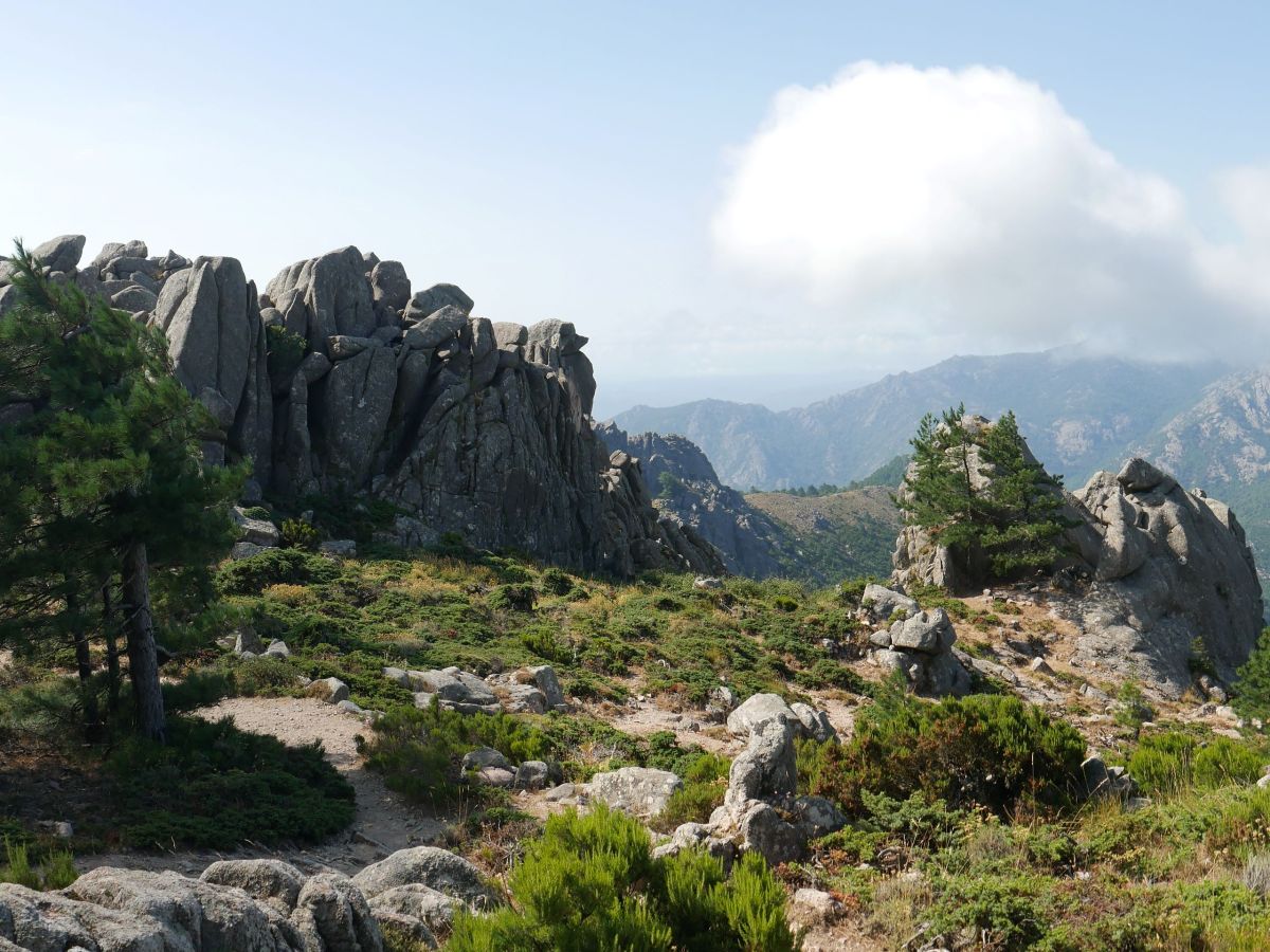 Corsican hostilities