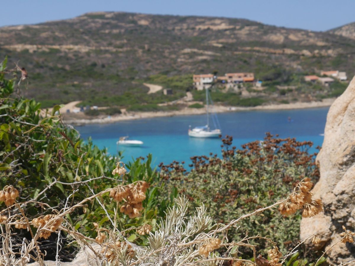 Parfum d’immortalité