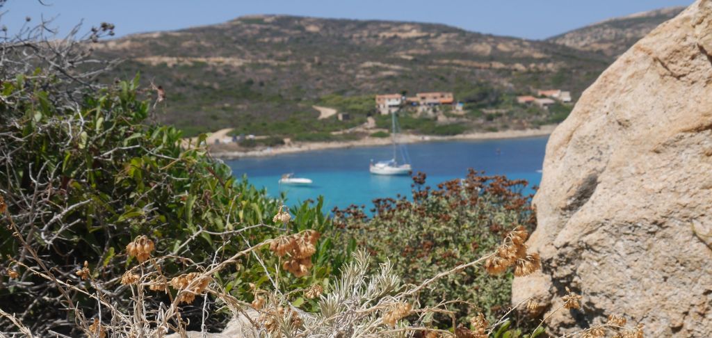 Parfum d’immortalité